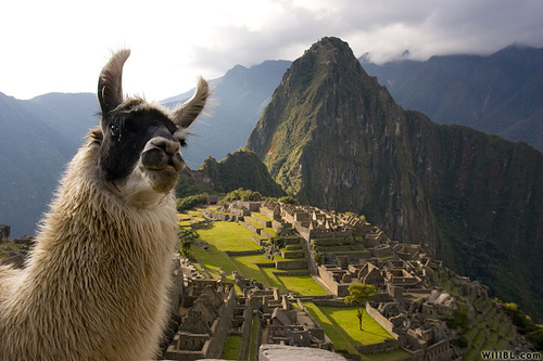 5 Días - 4 Noches: Arica - Cusco – Valle Sagrado - Machu Picchu - Arica,, Opción 2