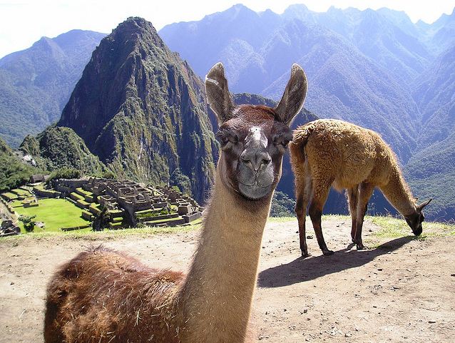 5 Días - 4 Noches: Arica - Cusco - Machu Picchu - Arica,, Opción 3