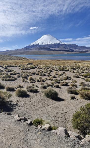 Altiplano una experiencia única