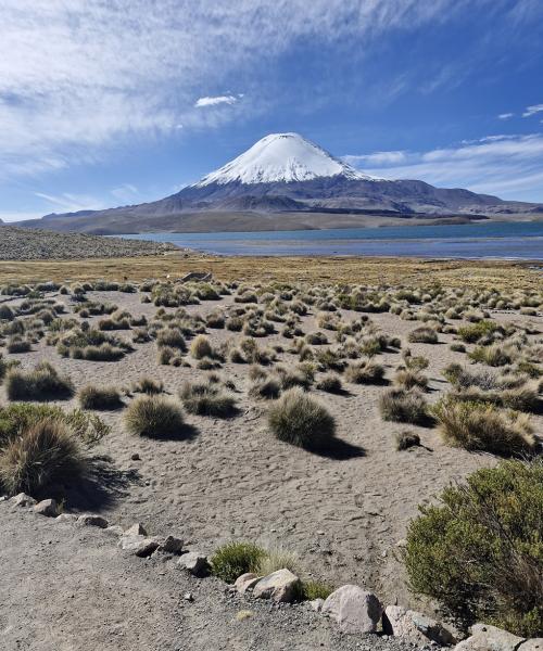 Altiplano una experiencia única